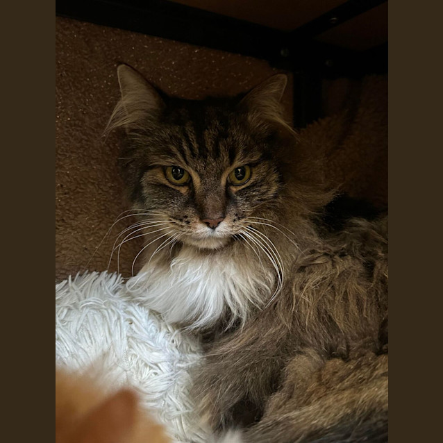 Photo of Boots