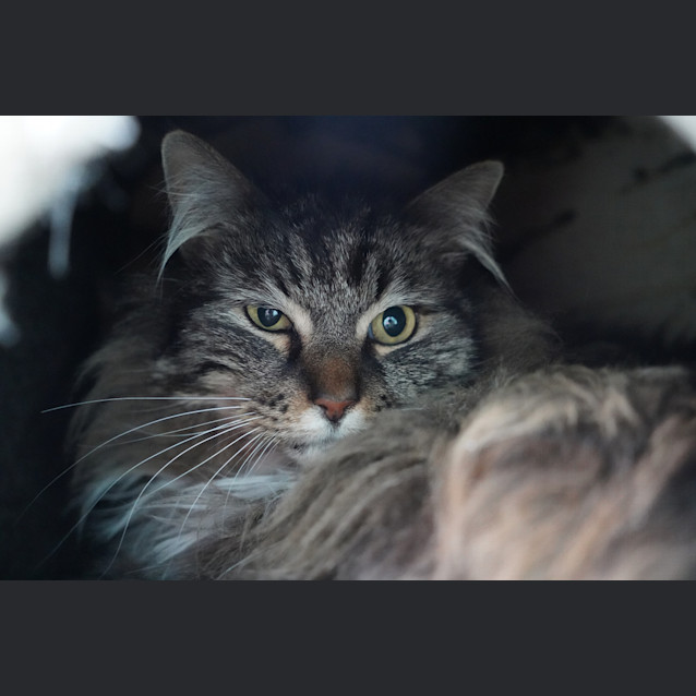 Photo of Boots