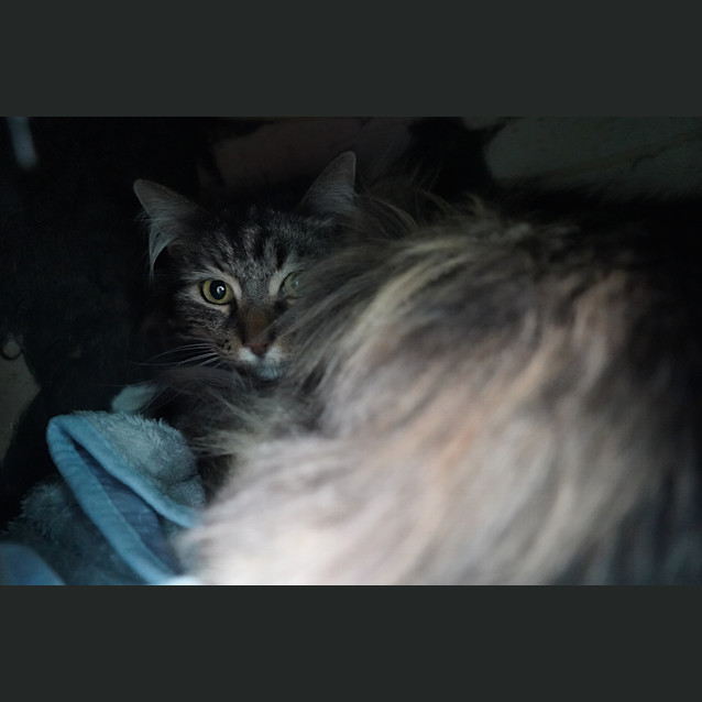 Photo of Boots