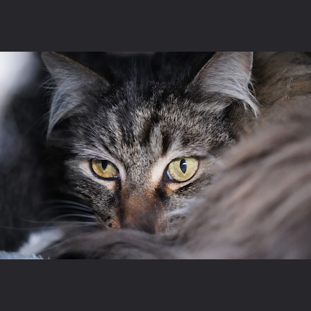 Photo of Boots