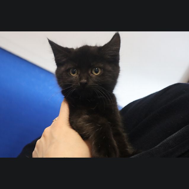Photo of Charlie
