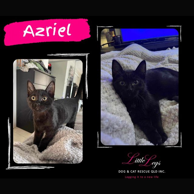 Photo of Azriel