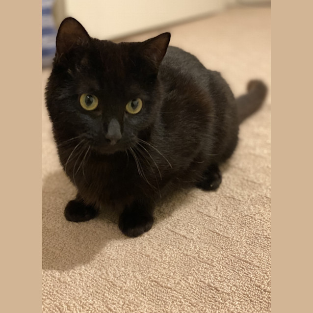 Photo of Fred