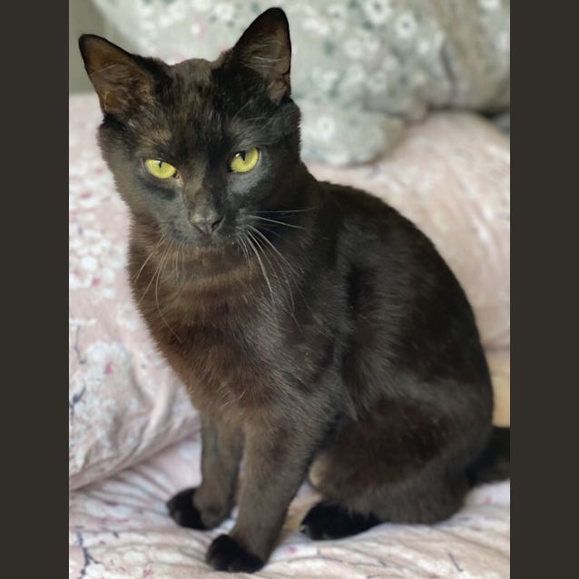 Photo of Fred
