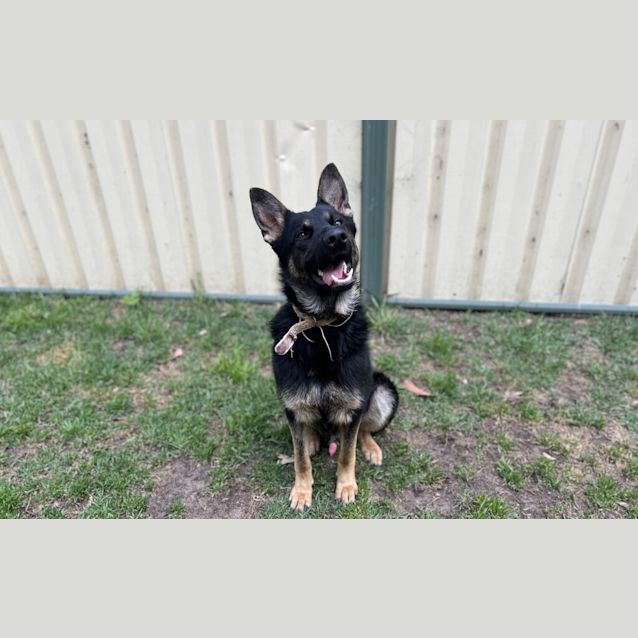 Photo of Thunder