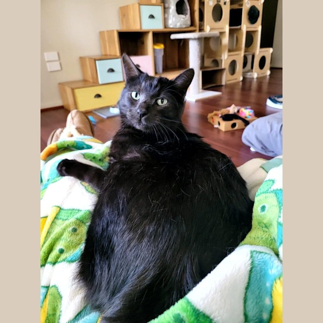 Photo of Leo