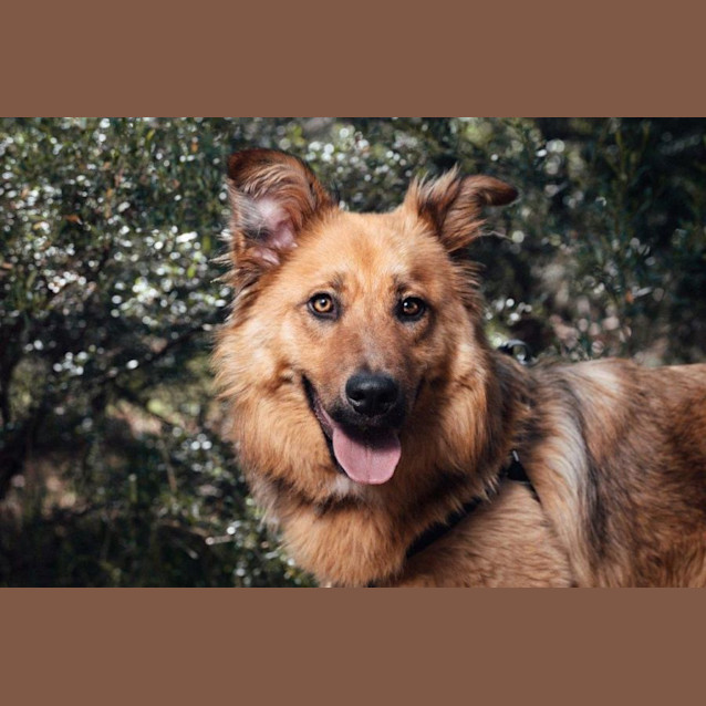 Photo of Bear Van Winkle