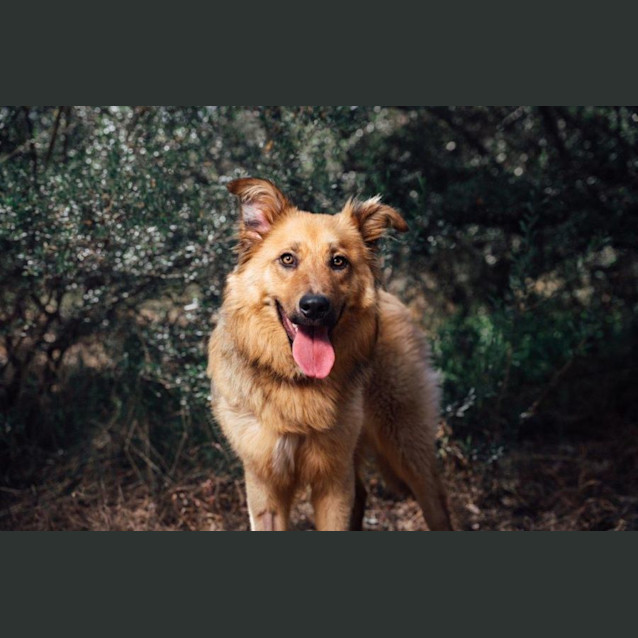 Photo of Bear Van Winkle