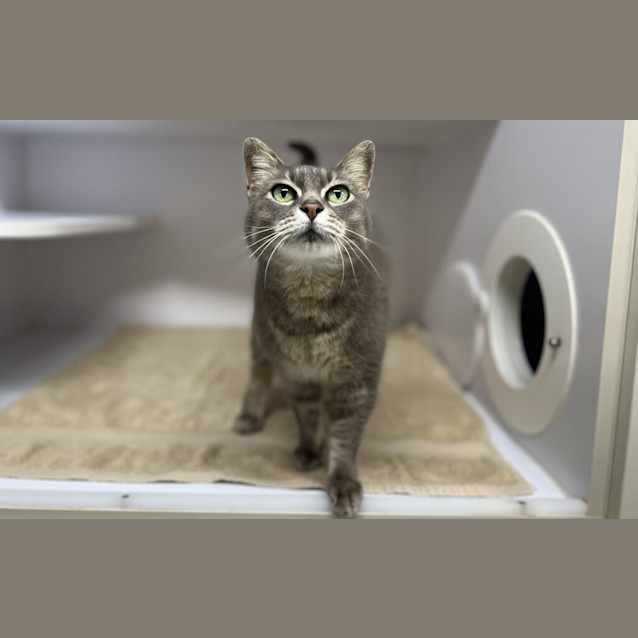 Photo of Lulubelle