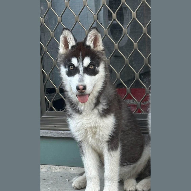 Photo of Jackie & Nami