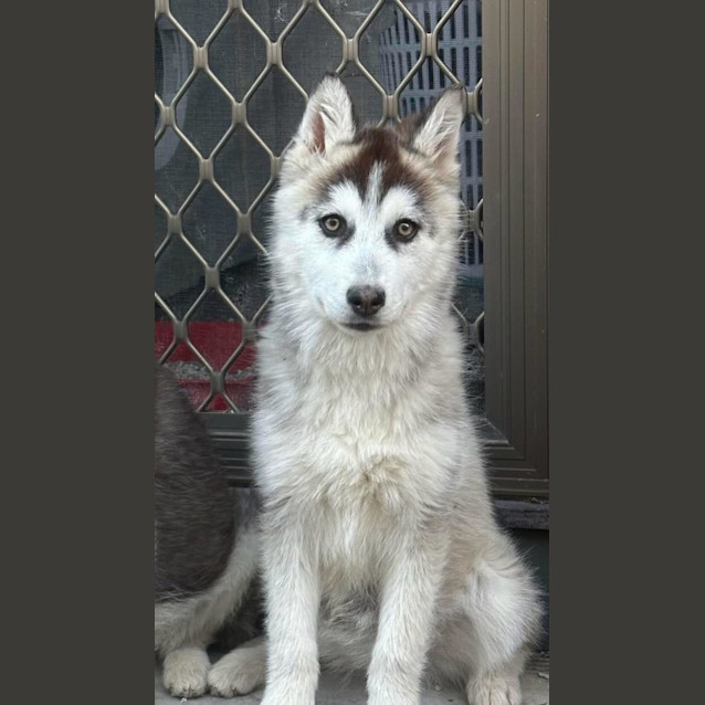 Photo of Jackie & Nami