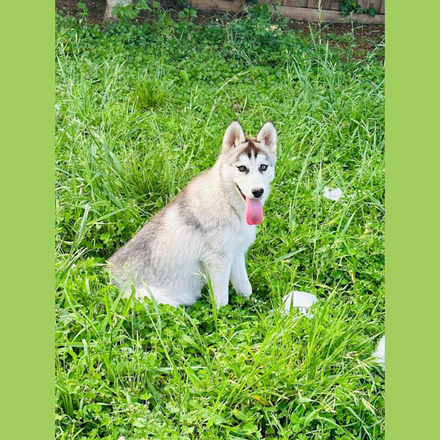 Photo of Jackie & Nami