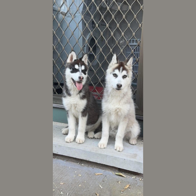 Photo of Jackie & Nami