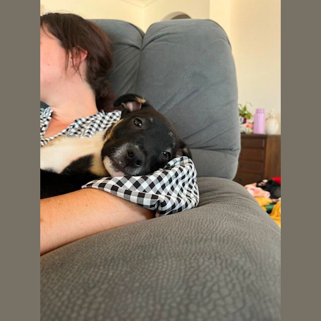 Photo of Bindi 
