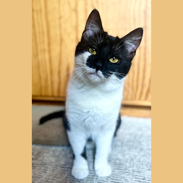 Photo of Aspen