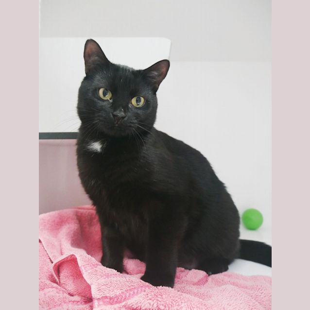 Photo of Cosmo Sta011689