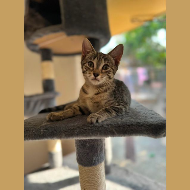 Photo of Mazzy And Peta