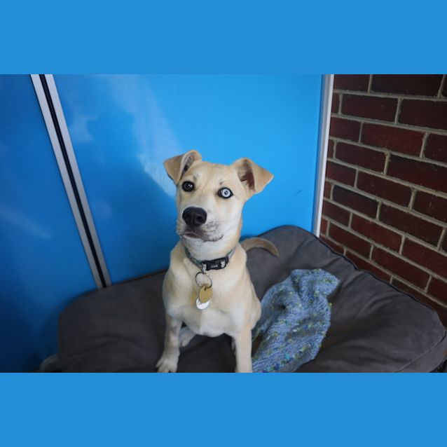 Photo of Starlah
