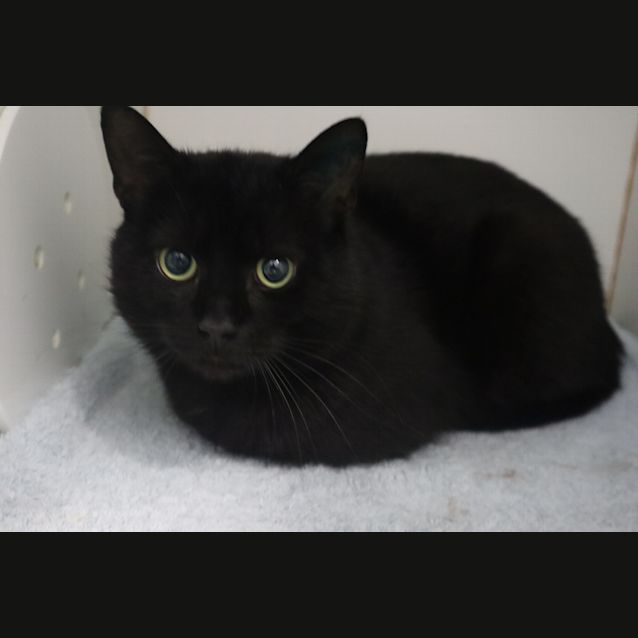 Photo of Spud