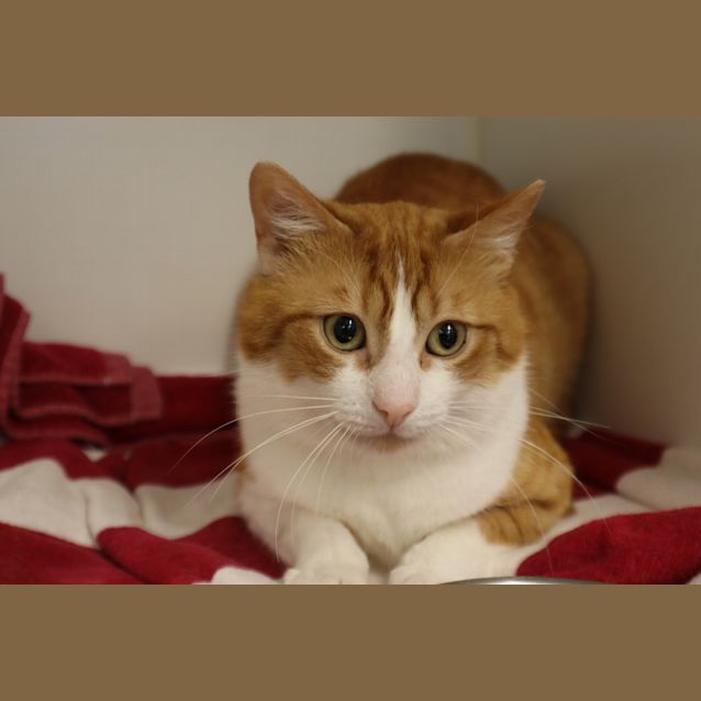 Photo of Duncan