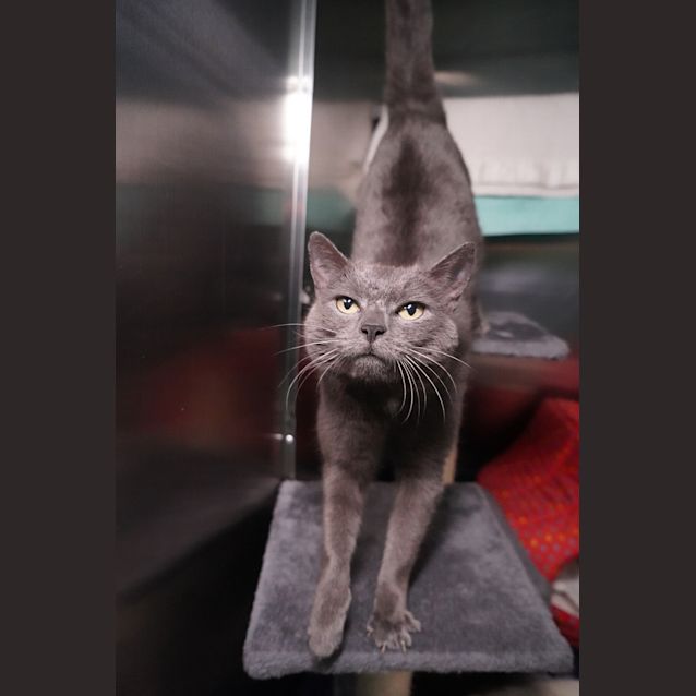 Photo of Sooty