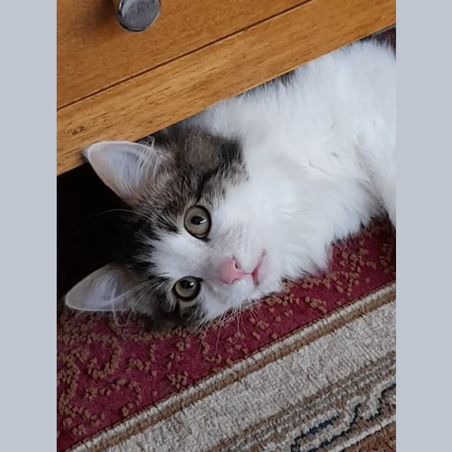 Photo of Raymond 