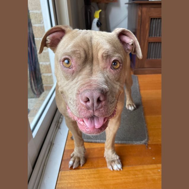 Photo of Hope