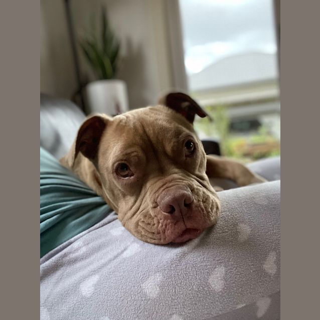 Photo of Hope