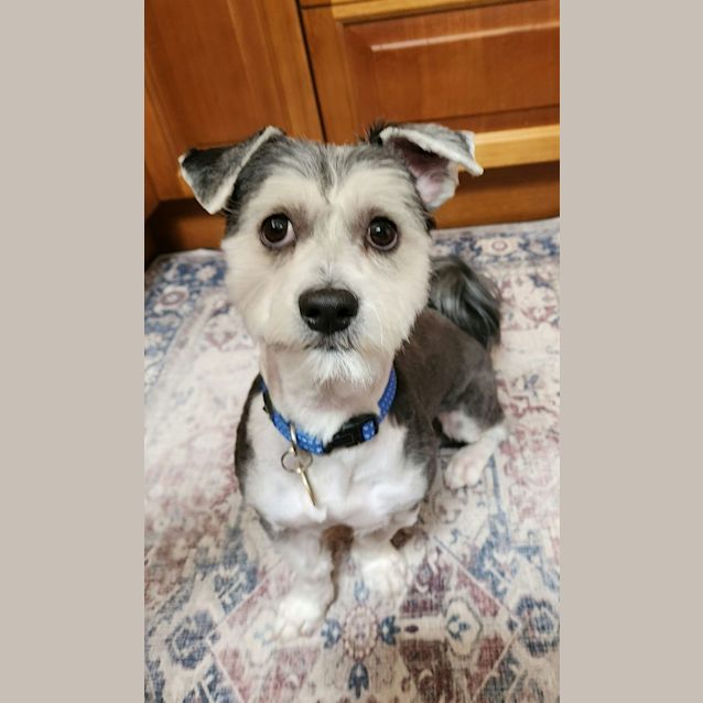 Photo of Gideon