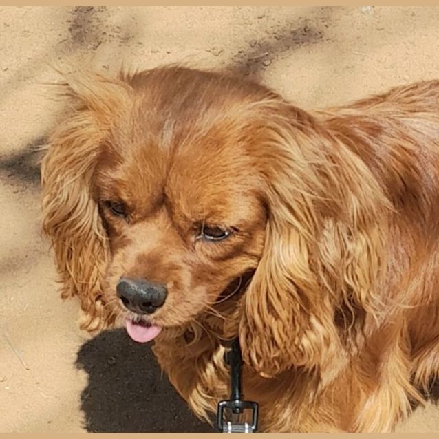 Photo of Mackenzie