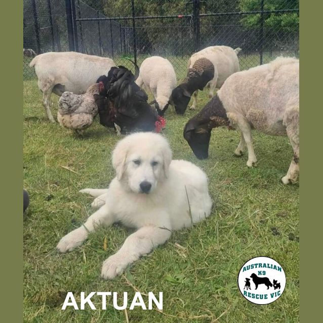 Photo of Akutan 
