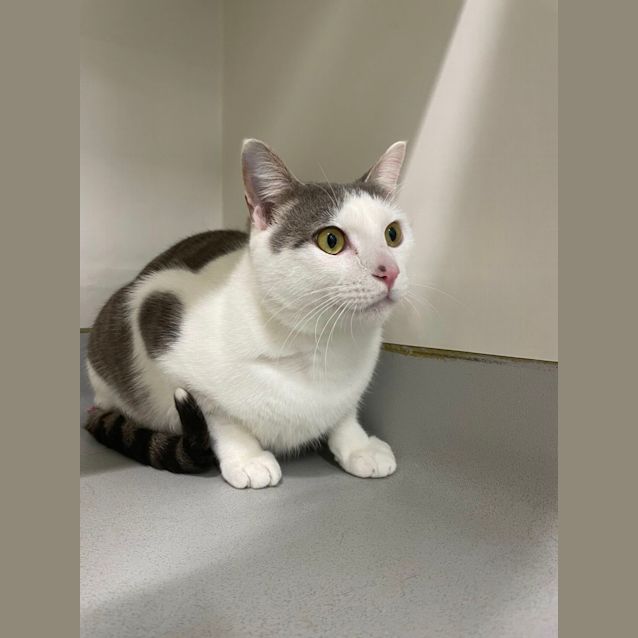 Photo of ⛄Olaf F02578 ⛄