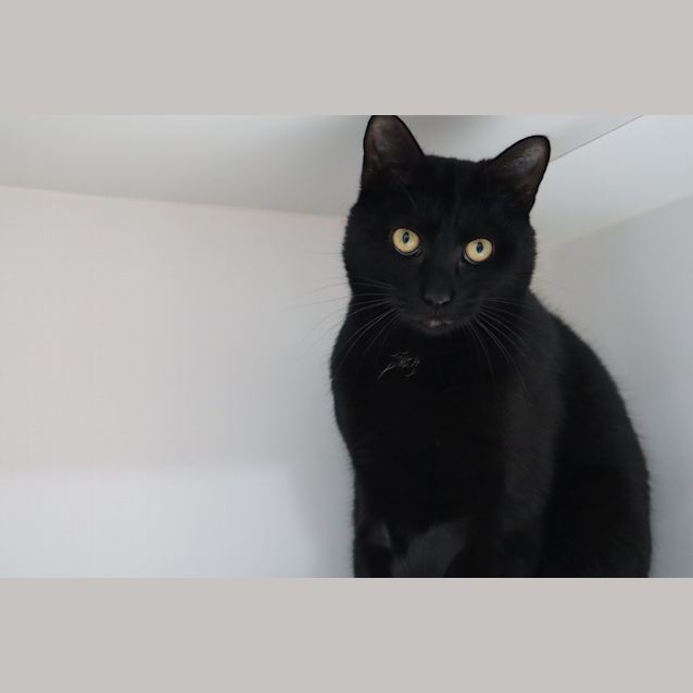 Photo of Reggie