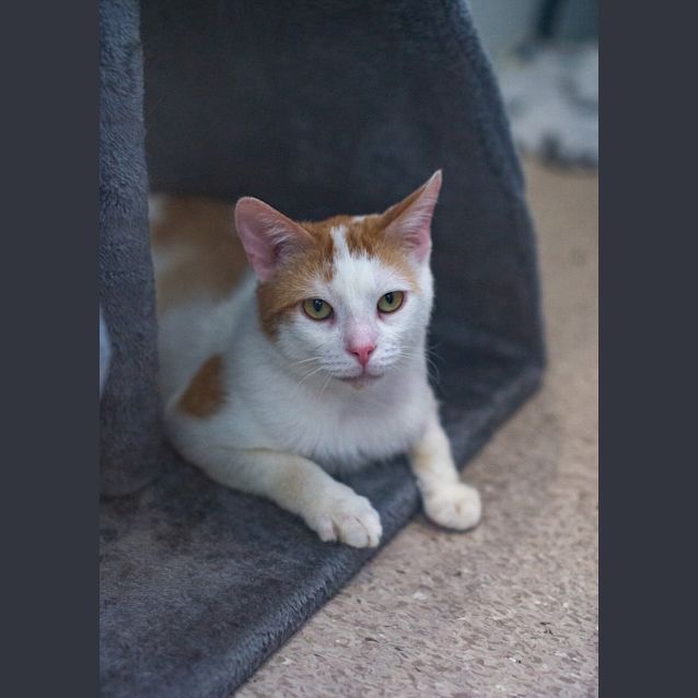 Photo of Marcus