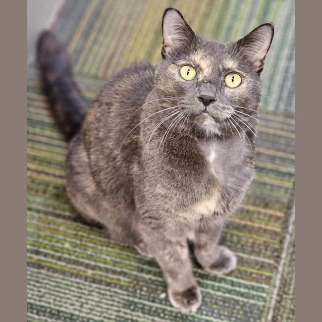 Photo of Blue
