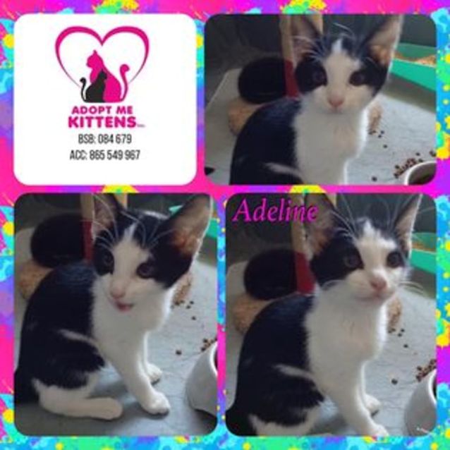 Photo of Adeline