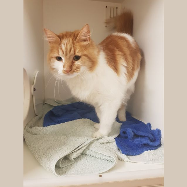 Photo of Spice
