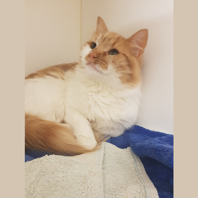 Photo of Spice