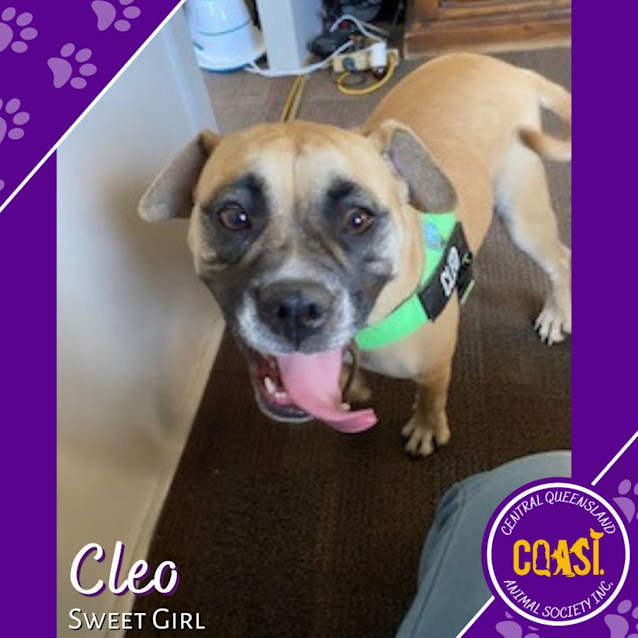 Photo of Cleo