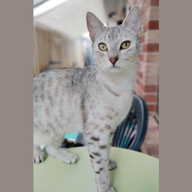 Photo of Jasmine
