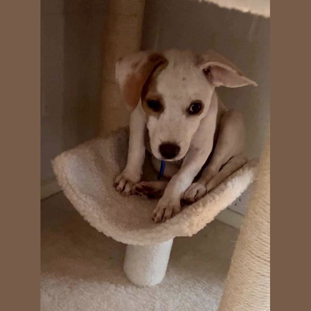 Photo of Pania (Pepper)