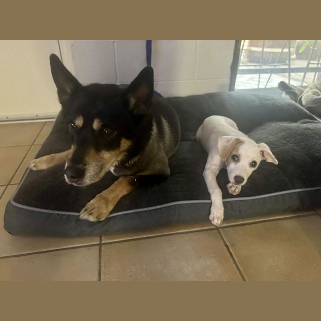 Photo of Pania (Pepper)