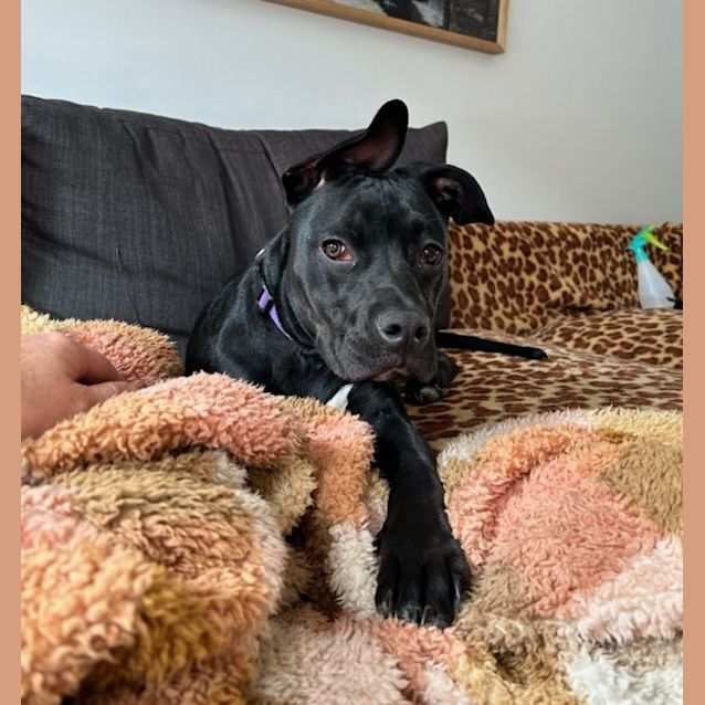 Photo of Norbert