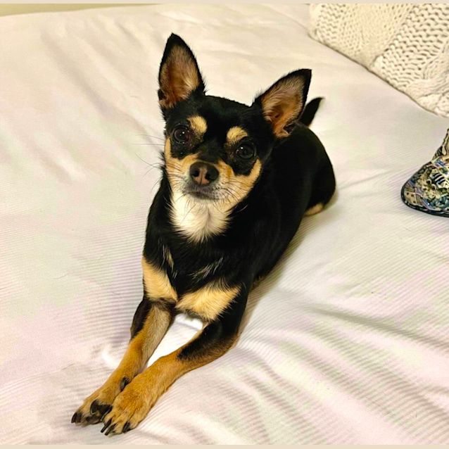 Photo of Mia