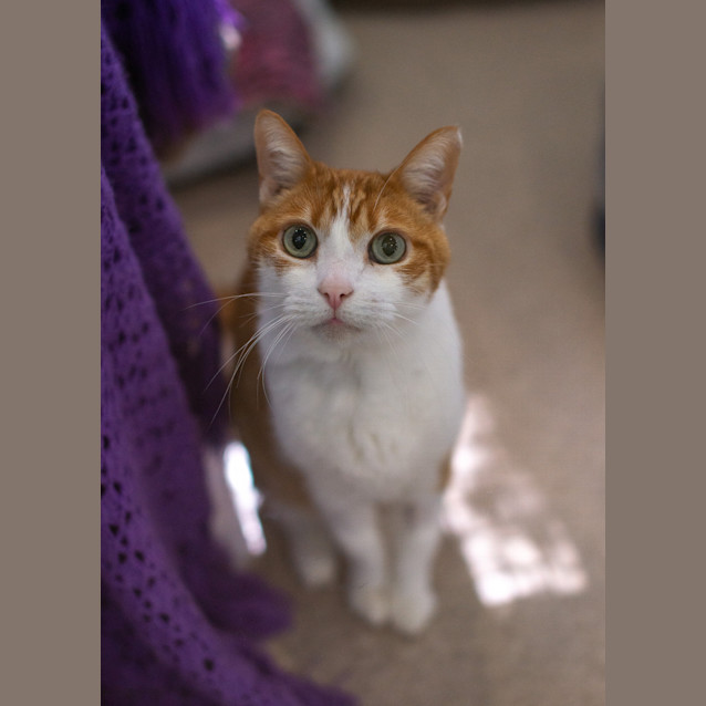 Photo of Leo