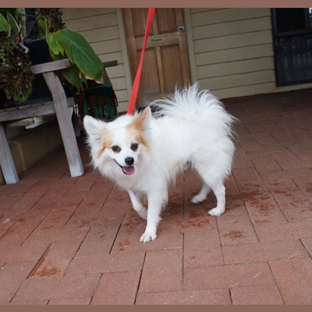Photo of Pappy
