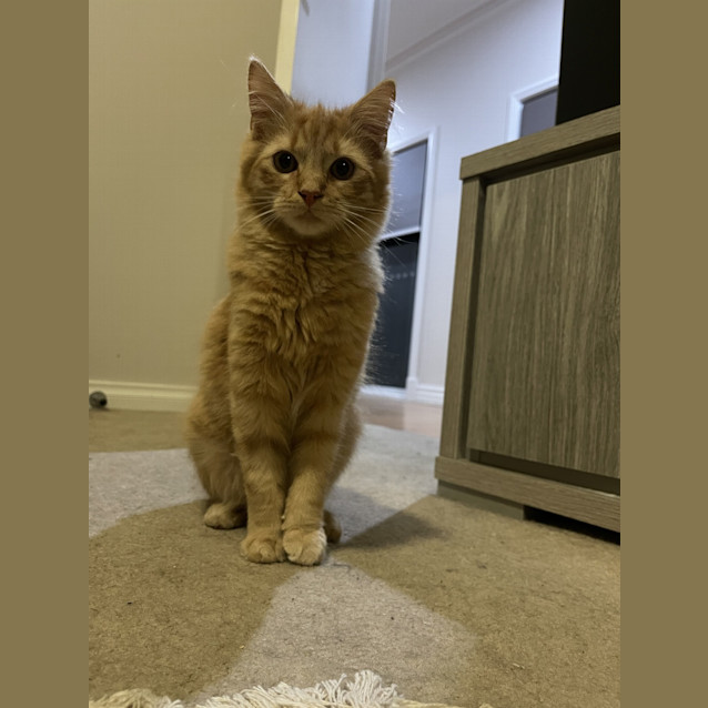 Photo of Charles