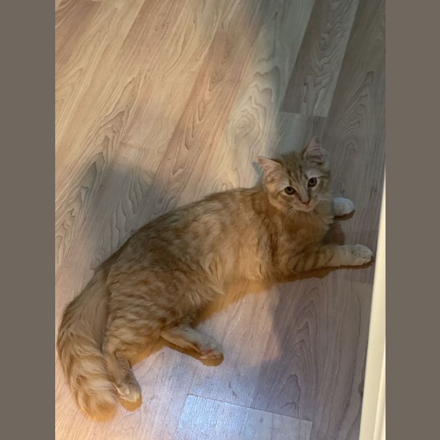 Photo of Charles