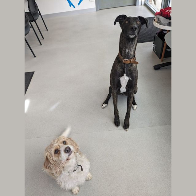 Photo of 🍭Yvie C04628 🍭