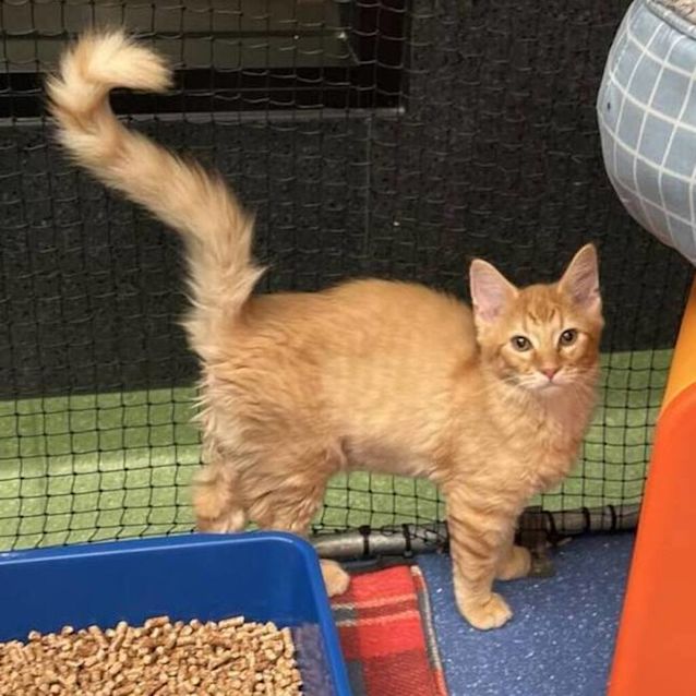 Photo of Fergus